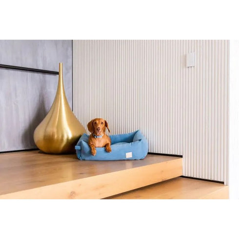 FuzzYard Life Bed Corduroy Bed French Blue Large - Poudre Pet & Feed Supply 3