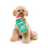 FuzzYard Jolly Old St Pickl-Ous Plush Dog Toy - Poudre Pet & Feed Supply 2