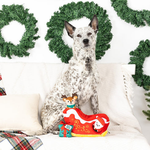 PetShop by Fringe Studio Deer Life Hide & Seek Plush Dog Toy - Poudre Pet & Feed Supply 2