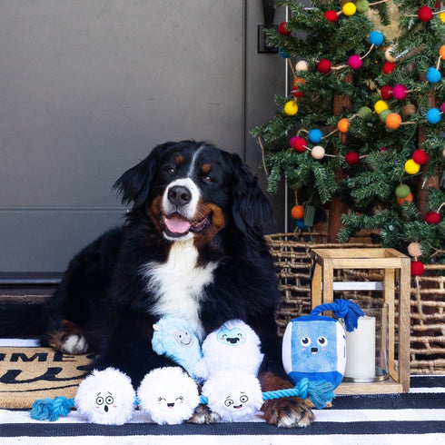 PetShop by Fringe Studio Yeti For Us? 2 Piece Small Dog Toy Set - Poudre Pet & Feed Supply 5