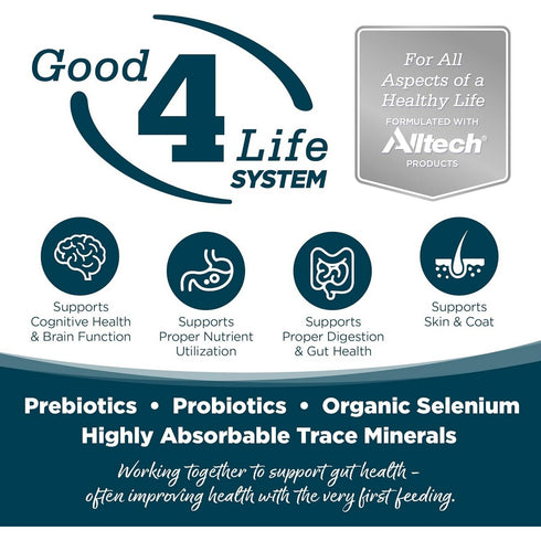 NutriSource Adult Small Bites Chicken Rice Dry Dog Food 12lb - Poudre Pet & Feed Supply 2