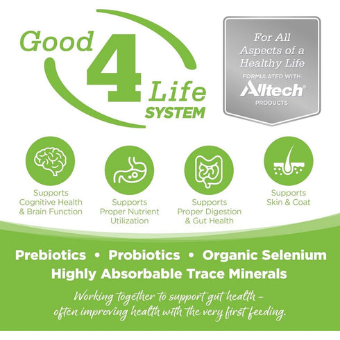 NutriSource Grain Free Turkey Weight Management Dry Dog Food 12lb - Poudre Pet & Feed Supply 3