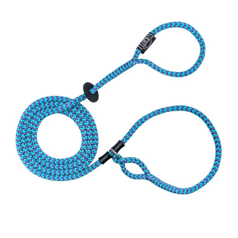 Harness Lead VaporWave Purple Turquoise SM - Poudre Pet & Feed Supply