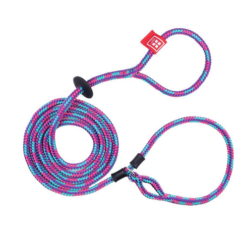 Harness Lead Reef Purple Raspberry Turquoise ML - Poudre Pet & Feed Supply