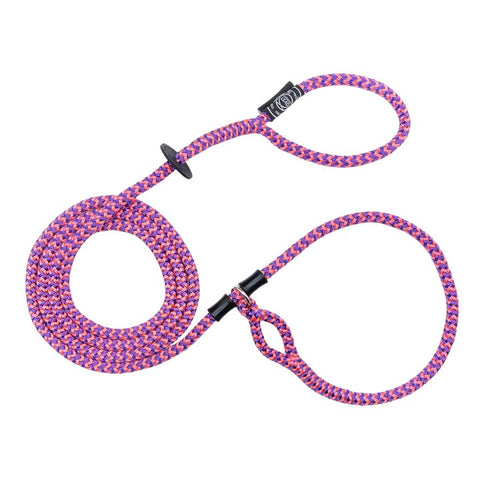 Harness Lead Retro Pink Purple SM - Poudre Pet & Feed Supply