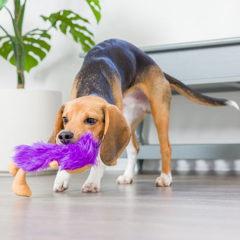 Huxley & Kent Slappies Herbie Hedgehog Dog Toy Large - Poudre Pet & Feed Supply 2