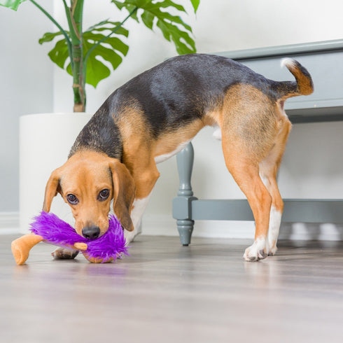 Huxley & Kent Slappies Herbie Hedgehog Dog Toy Large - Poudre Pet & Feed Supply 3