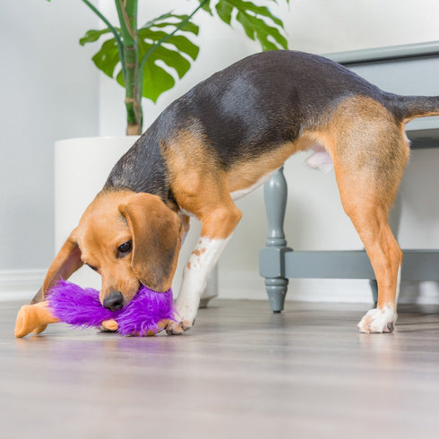 Huxley & Kent Slappies Herbie Hedgehog Dog Toy Large - Poudre Pet & Feed Supply 4