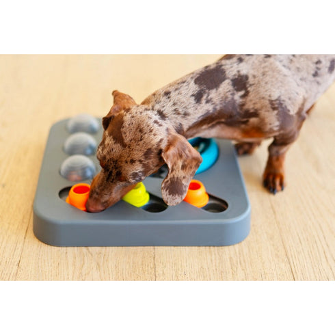 Messy Mutts Flip'n Slide Puzzler Medium Puzzle 12.5" x 12.5" - Poudre Pet & Feed Supply 3