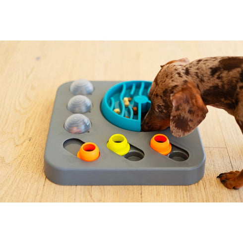 Messy Mutts Flip'n Slide Puzzler Medium Puzzle 12.5" x 12.5" - Poudre Pet & Feed Supply 4