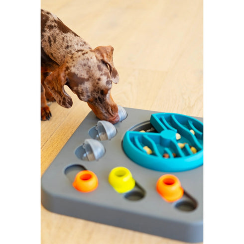 Messy Mutts Flip'n Slide Puzzler Medium Puzzle 12.5" x 12.5" - Poudre Pet & Feed Supply 5