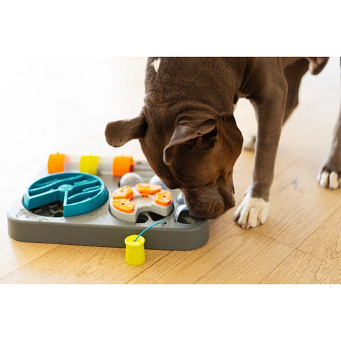 Messy Mutts Flip'n Slide Puzzler Large Dog Puzzle 16.5" x 13"