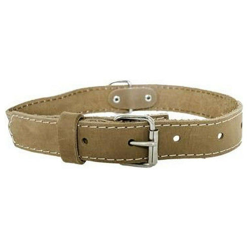 Euro-Dog Luxury Soft Leather Traditional Dog Collar Tan Small 12-15" - Poudre Pet & Feed Supply