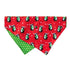FuzzYard Snowday Penguin Bandana Small/Medium - Poudre Pet & Feed Supply