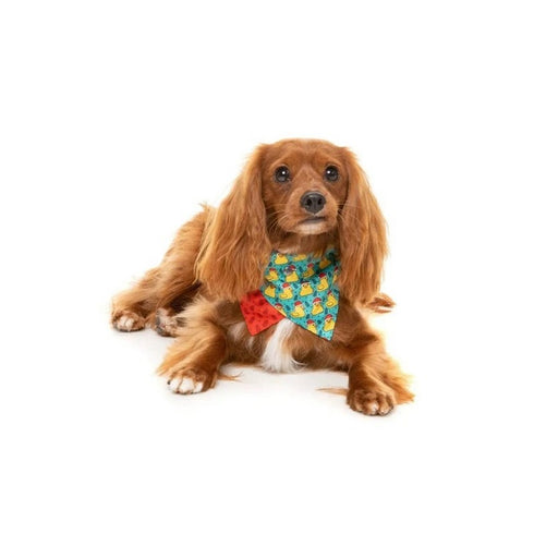 FuzzYard Merry Quackmas Christmas Bandana & Bowtie 2Pack Small/Medium - Poudre Pet & Feed Supply 5