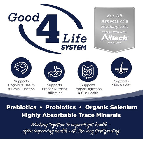 NutriSource Woodlands Select Grain Free Dry Dog Food 4lb - Poudre Pet & Feed Supply 2