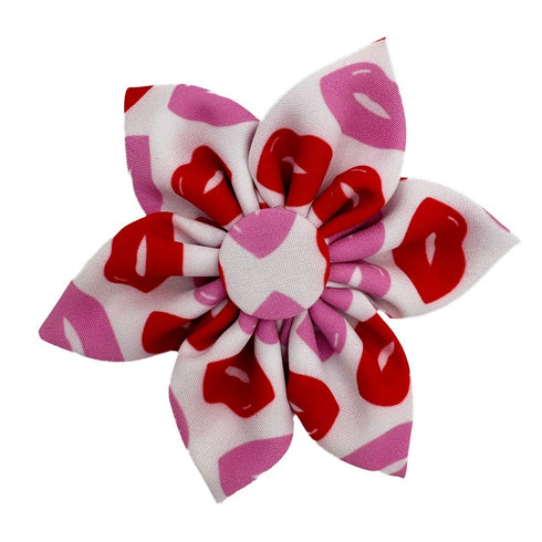 Huxley & Kent Kiss Kiss Pinwheel Large - Poudre Pet & Feed Supply
