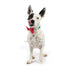 Huxley & Kent King & Queen of Hearts Bow Tie Small - Poudre Pet & Feed Supply 3