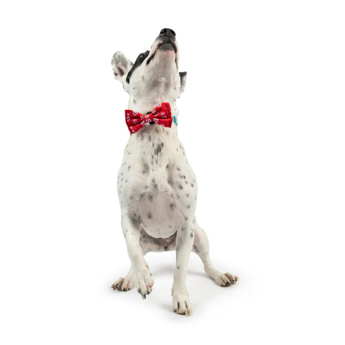 Huxley & Kent King & Queen of Hearts Bow Tie Small - Poudre Pet & Feed Supply 4