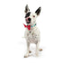 Huxley & Kent King & Queen of Hearts Bow Tie Large - Poudre Pet & Feed Supply 3