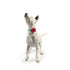 Huxley & Kent King & Queen of Hearts Pinwheel Small - Poudre Pet & Feed Supply 5