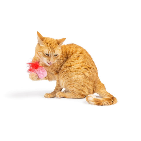 Huxley & Kent Love Bugs 2Pk Cat Toy - Poudre Pet & Feed Supply 6