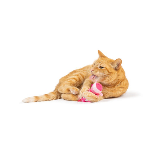 Huxley & Kent Love Bugs 2Pk Cat Toy - Poudre Pet & Feed Supply 8