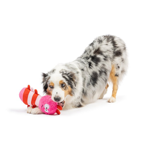 Huxley & Kent Love Bug Dog Toy - Poudre Pet & Feed Supply 2