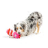 Huxley & Kent Love Bug Dog Toy - Poudre Pet & Feed Supply 2
