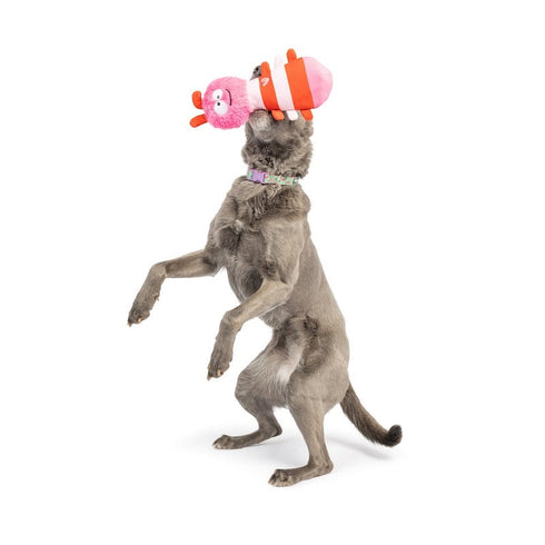 Huxley & Kent Love Bug Dog Toy - Poudre Pet & Feed Supply 4