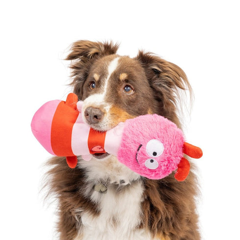 Huxley & Kent Love Bug Dog Toy - Poudre Pet & Feed Supply 5