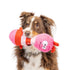 Huxley & Kent Love Bug Dog Toy - Poudre Pet & Feed Supply 5