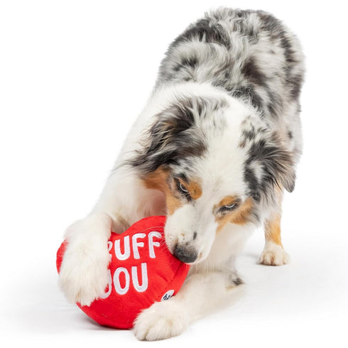 Huxley & Kent First Lick Heart Dog Toy (Double-Sided) Small Toy - Poudre Pet & Feed Supply 4