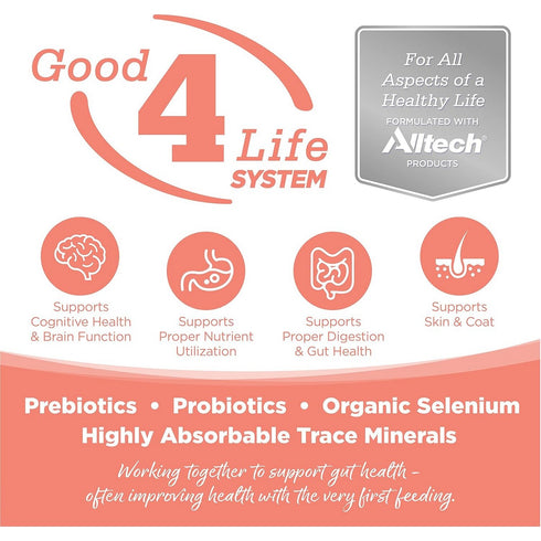 NutriSource Small Bites Seafood Small Bites Grain Free Dry Dog Food 12lb - Poudre Pet & Feed Supply 2