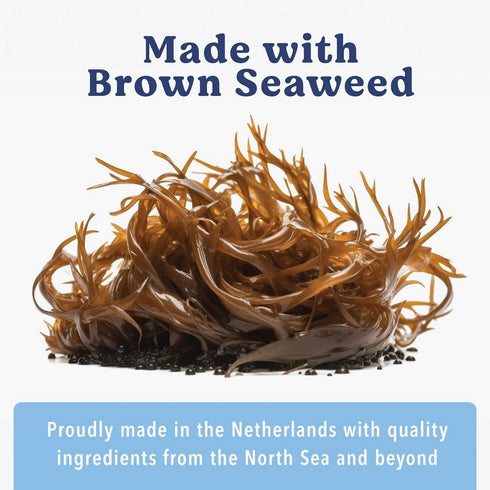 Angels' Eyes Sea Sticks Multi-Benefit Treat Medium 12 Pack - Poudre Pet & Feed Supply 4