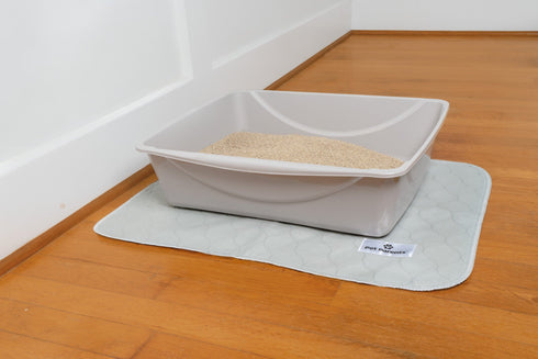 Pet Parents Pawtect Pad Grey Medium 1Pk - Poudre Pet & Feed Supply 3