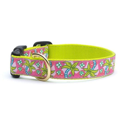 Up Country Pink Palms Dog Collar Small - Poudre Pet & Feed Supply