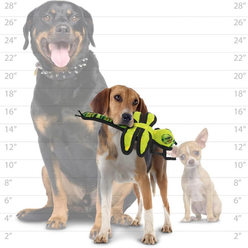 Tuffy's Bug Dragonfly Dog Toy Green - Poudre Pet & Feed Supply6