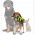 Tuffy's Bug Dragonfly Dog Toy Green - Poudre Pet & Feed Supply6