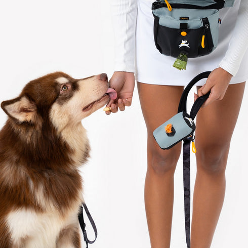 Olly Scoop Pick Up Bag Waste Bag Dispenser St. Lucia - Poudre Pet & Feed Supply 6