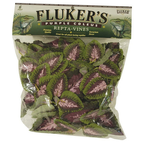 Fluker's Purple Coleus Repta-Vines Green Purple 6' - Poudre Pet & Feed Supply