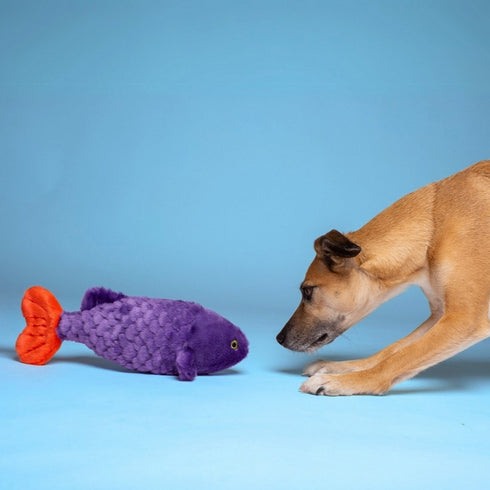 Fluff&Tuff Cici the Tropical Fish Dog Toy Purple - Poudre Pet & Feed Supply 4