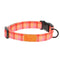 RC Pets Eco Clip Dog Collar Medium Gleeful Gingham - Poudre Pet & Feed Supply