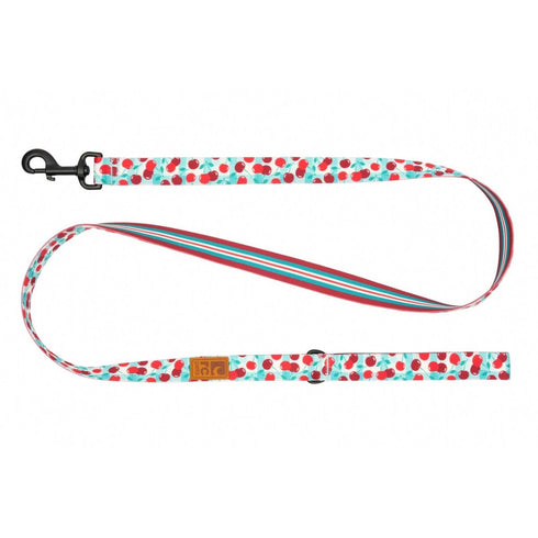 RC Pets Eco Dog Leash 1"x5' Cherry Picnic Orchard Stripe - Poudre Pet & Feed Supply