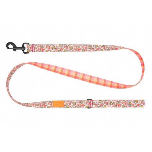 RC Pets Dog Leash 1"x5' Daisy Joy Gleeful Gingham - Poudre Pet & Feed Supply