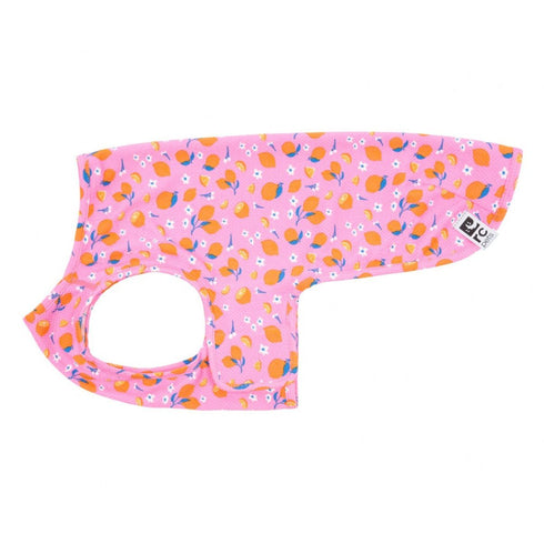 RC Pets Zephyr Cooling Vest Medium Zesty - Poudre Pet & Feed Supply