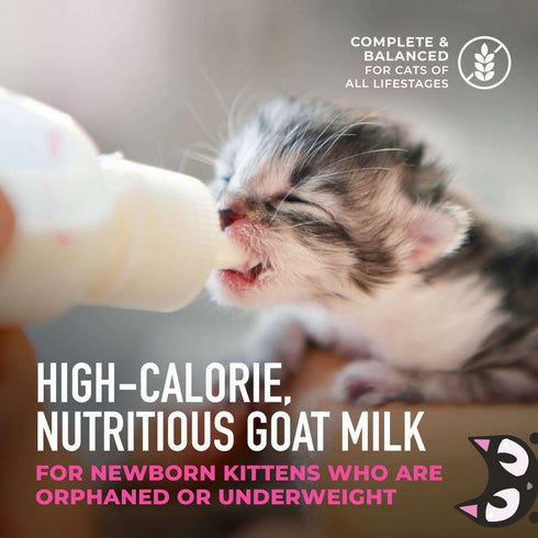 Tiki Cat Baby Milk Replacer with Goat's Milk Wet Cat Food 6oz - Poudre Pet & Feed Supply 10