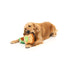 FuzzYard Avocado & Toast dog toys, 2 pack