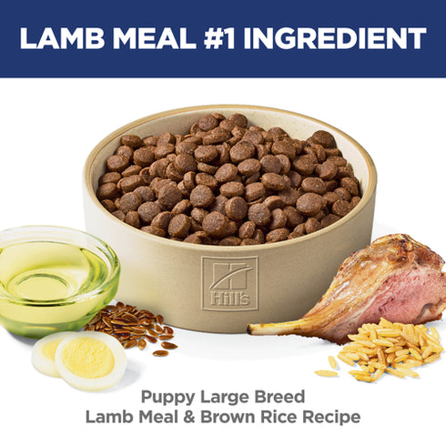 Hill's Science Diet Puppy Large Breed Dry Dog Food - Lamb & Brown Rice - 30lb Bag