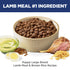 Hill's Science Diet Puppy Large Breed Dry Dog Food - Lamb & Brown Rice - 30lb Bag